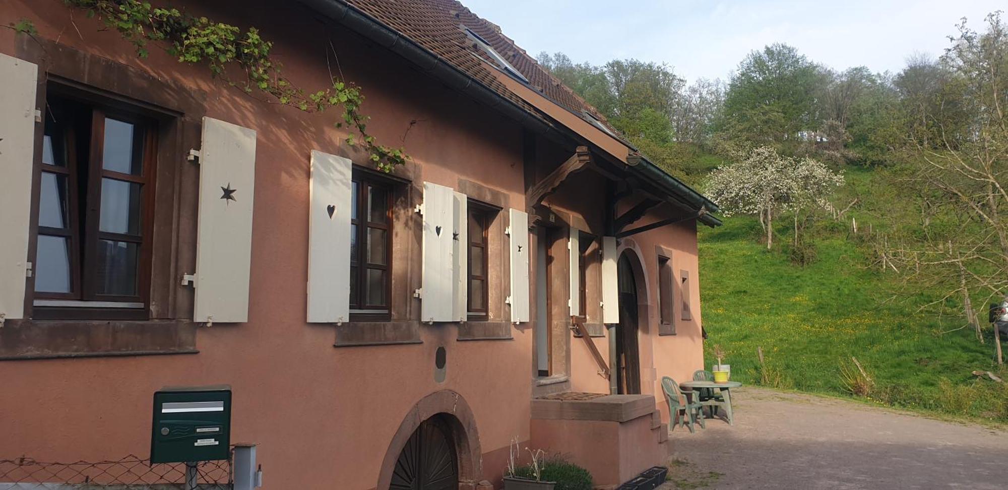Appartamento La Fermette Vosgienne De La Goutte Steige Esterno foto