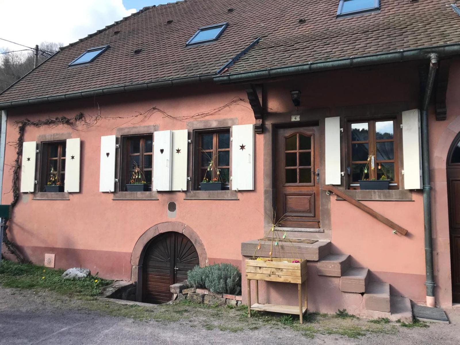 Appartamento La Fermette Vosgienne De La Goutte Steige Esterno foto