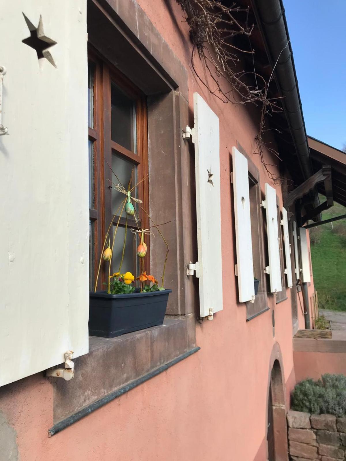 Appartamento La Fermette Vosgienne De La Goutte Steige Esterno foto