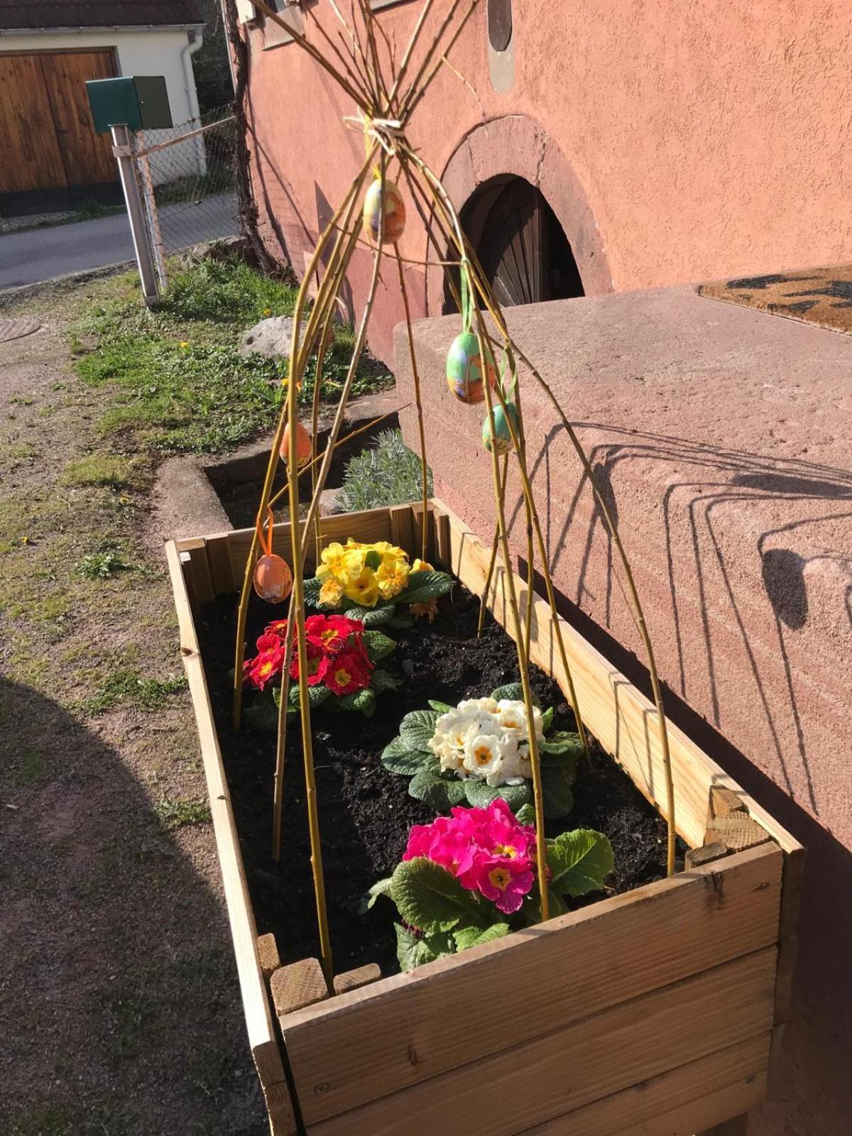 Appartamento La Fermette Vosgienne De La Goutte Steige Esterno foto